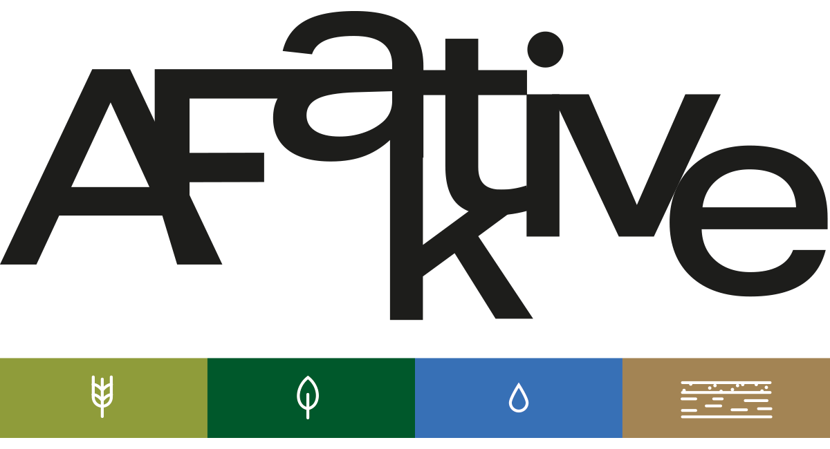 AFaktive 